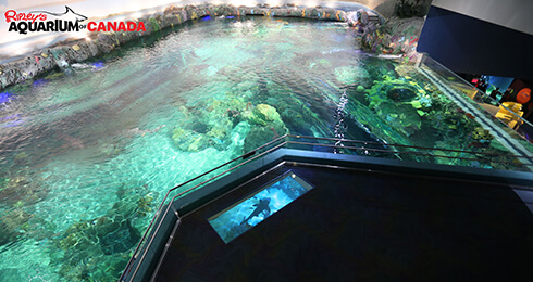 490x260_0085_dangerous-lagoon-a64p9668